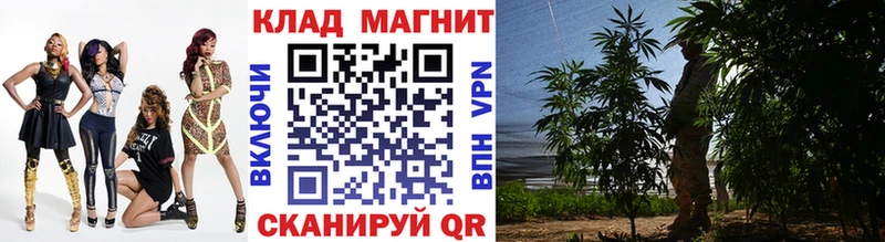 Где найти наркотики Южа Кокаин  кракен зеркало  Меф мяу мяу  ГАШ  Конопля 
