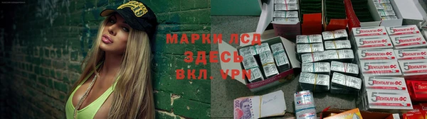 ПСИЛОЦИБИНОВЫЕ ГРИБЫ Верея