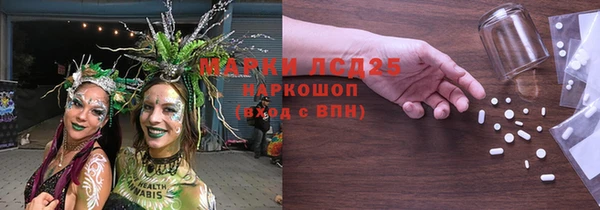 ПСИЛОЦИБИНОВЫЕ ГРИБЫ Верея
