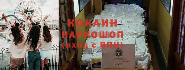 ПСИЛОЦИБИНОВЫЕ ГРИБЫ Верея