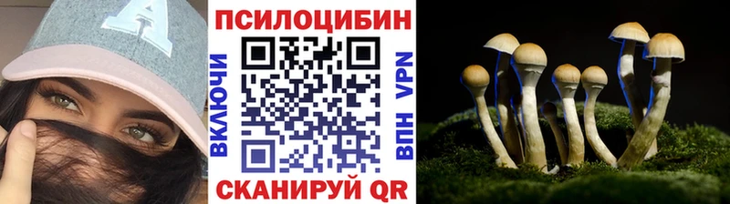 что такое   Южа  Псилоцибиновые грибы Psilocybine cubensis 