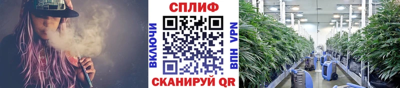 купить  сайты  Южа  дарк нет Telegram  МАРИХУАНА ГИДРОПОН 